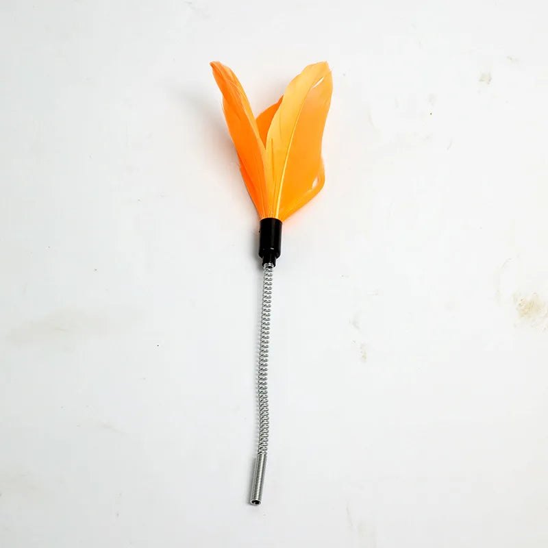 B Pet Toys, Cat Toys, Self-hey, Relieve Boredom, Cat Turntable, Funny Cat Stick, Funny Cat, Kittens Funny Cat Ball Supplies Cats Qme Orange cat teaser