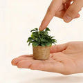 Artificial Potted Plants, Cute Mini Plants Potted Landscape Suitable for Indoor Outdoor Home Kitchen Desk Office Qme 1pc