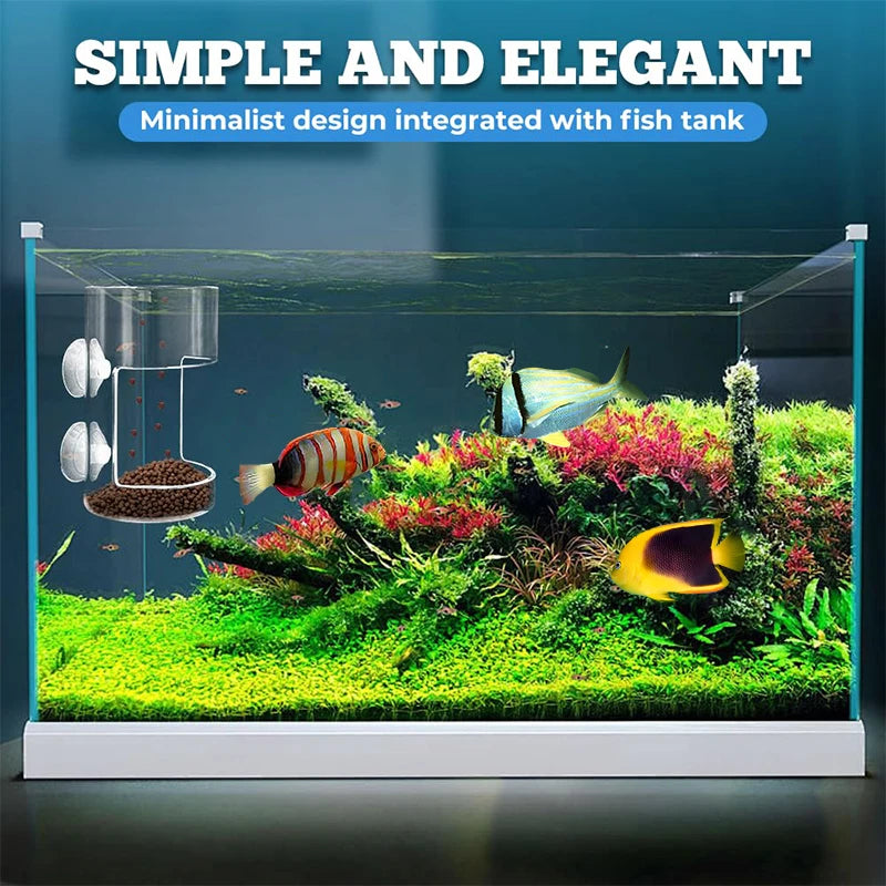 Aquarium 2025 Fish Tank Dish Tray Suction Cup Acrylic Feeding Tube Qme