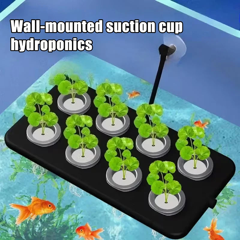 Soilless Cultivation Board Aquarium Greening Decoration Floating Qme