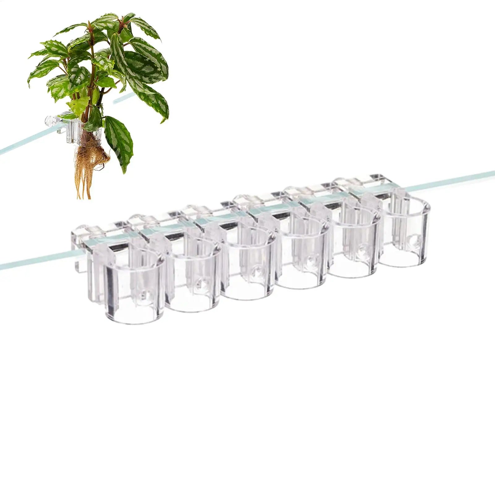 Aquarium Plant Holder 6 Clear Planting Bracket Hangable Cup Fish Tank Qme
