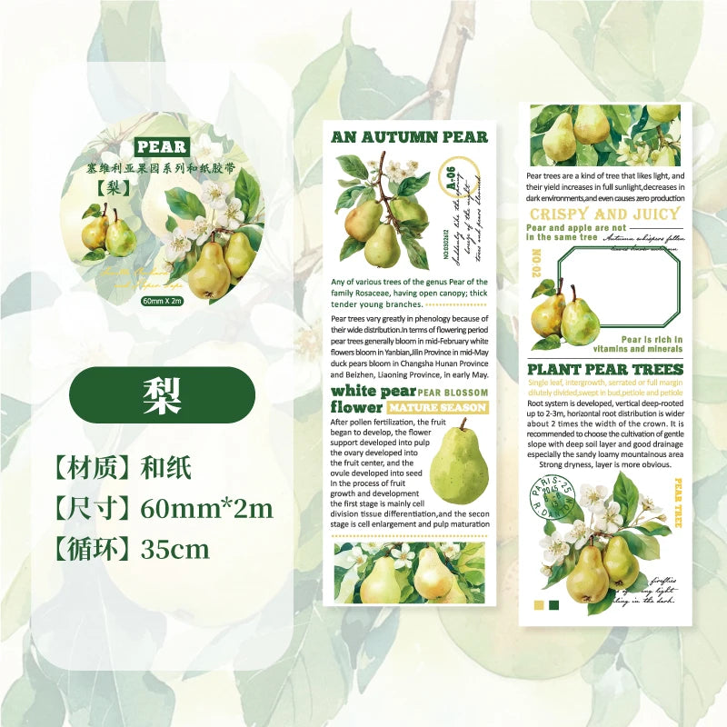 60mm*200cm Lemon Fruit Theme PET Tape Diary Planner Decor Junk Journal Scrapbooking School Supplies Collage Stationery Tapes Qme D