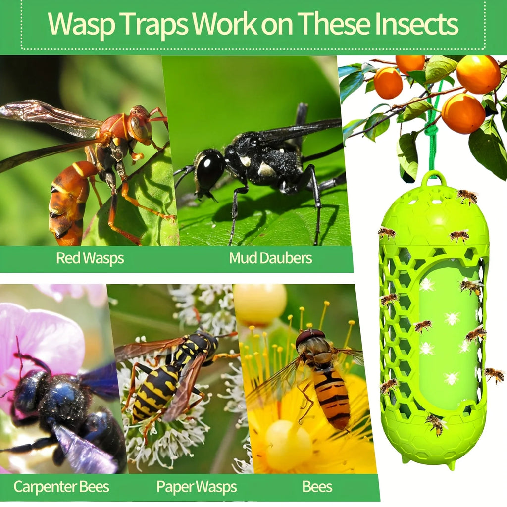 Wasp Trap Outdoor Hanging Carpenter Bee Trap for Outside Fly Wasp Catcher Fly Trap Indoor Killer Hunter for Hornet Gnat Mosquito Qme