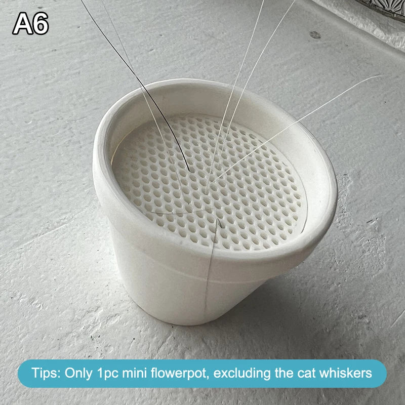 Pot Design Desktop Ornament Collectible Keepsake Cat Owners Pet Qme A6