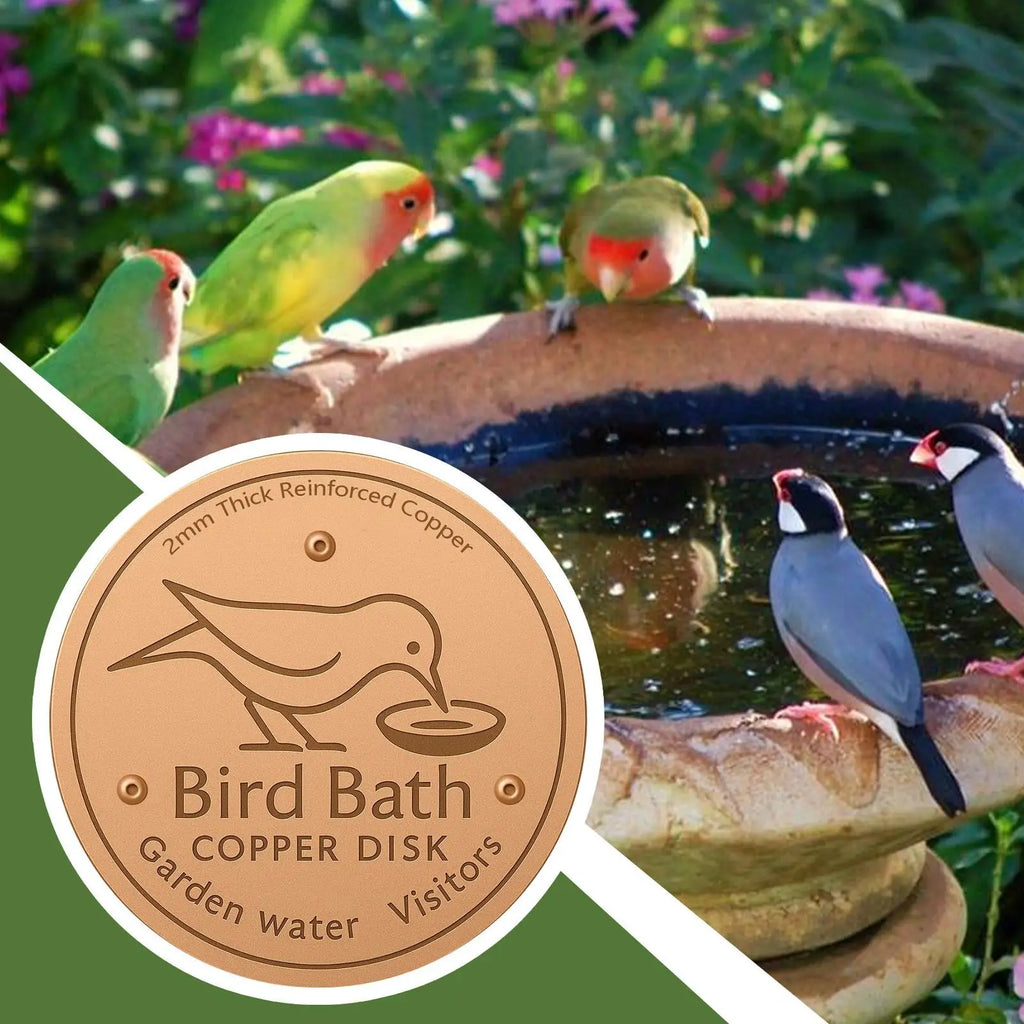 Water Fountain Disk for Bird Bath Copper Cleaning Disk Feeder Accessories Triple-Point Support Purifier Disc for Water Bowl Qme