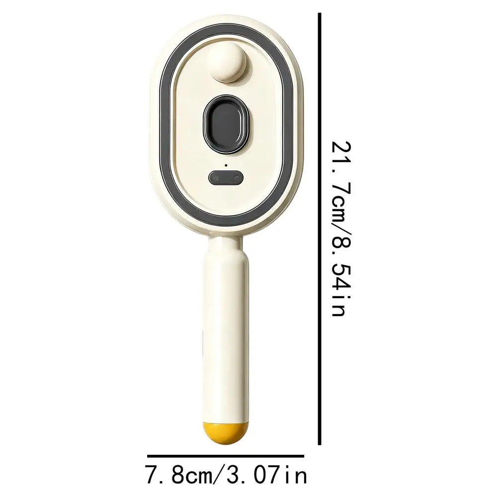 Electric Steam Brush Self-cleaning Anti-static Hair Water Spray Women Qme 02 China Mainland