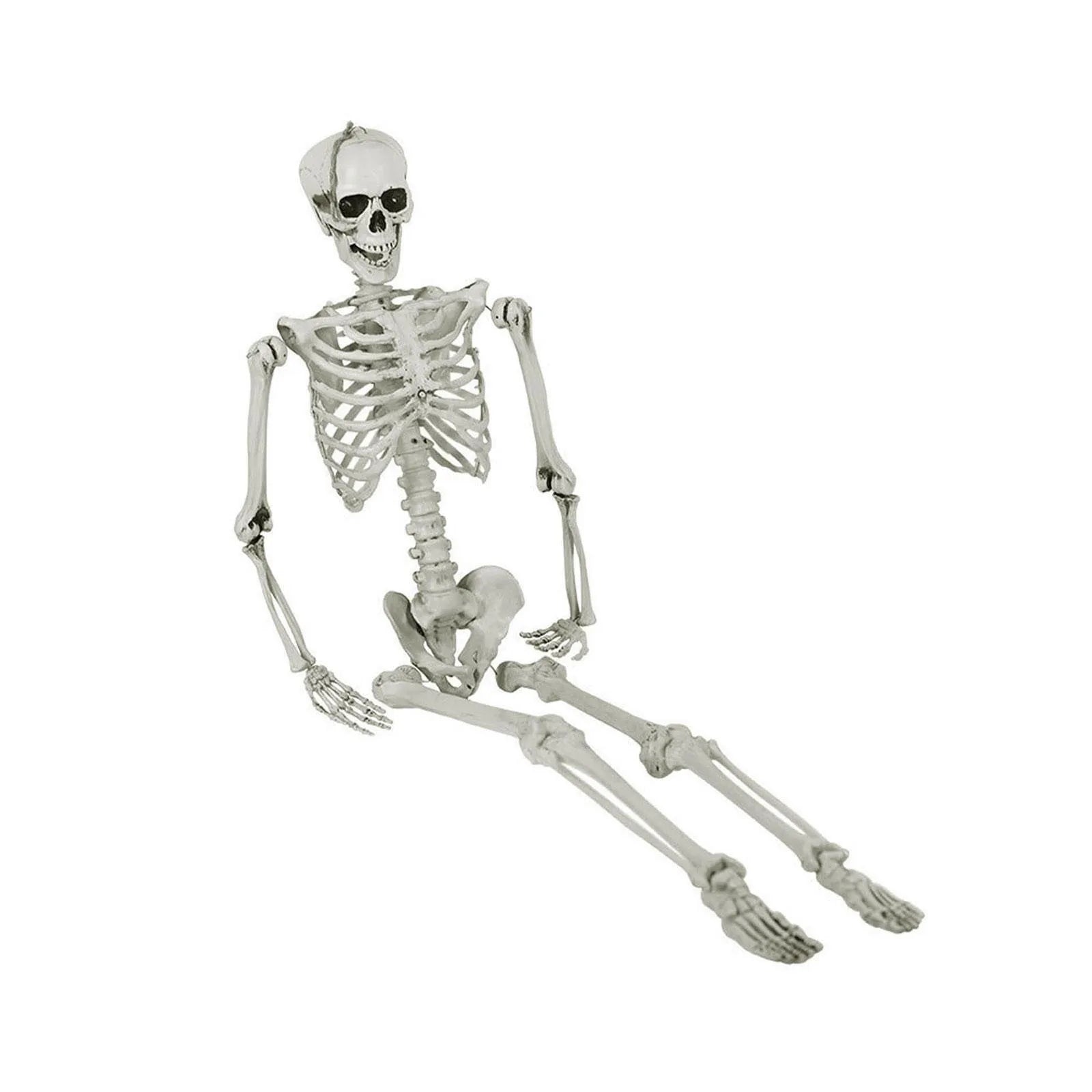 Halloween Skeleton Decors Full Body Faux Human Skeleton Decoration Props Festival Decorations White Skull Frame Qme