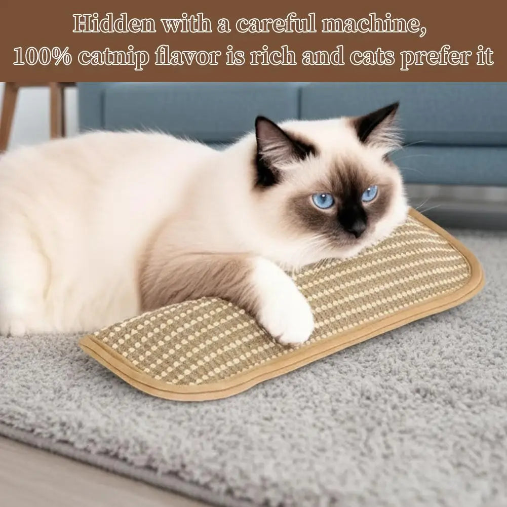 Fun Catnip Pillow Cat Interactive Toy Indoor Kitten Scratching Kicker Qme