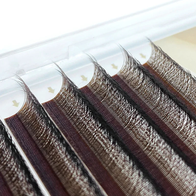 NATUHANA 3DW Shape Individual Lashes Easy Fan W Black Eyelash Qme