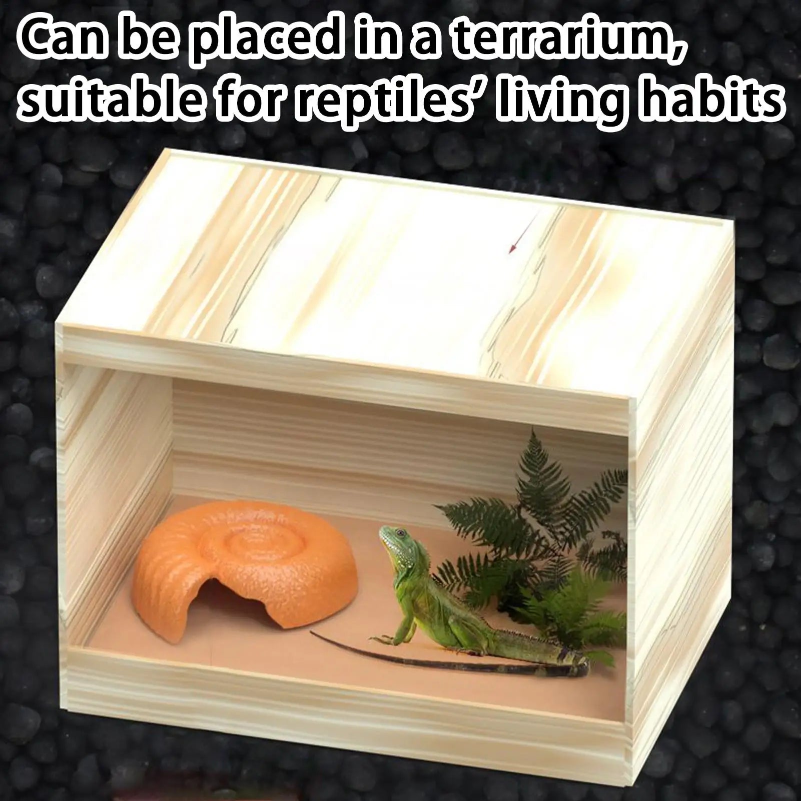 Snake Hide Out Ammonite Shape Cage Shelter Nest Decorative Habitat Qme