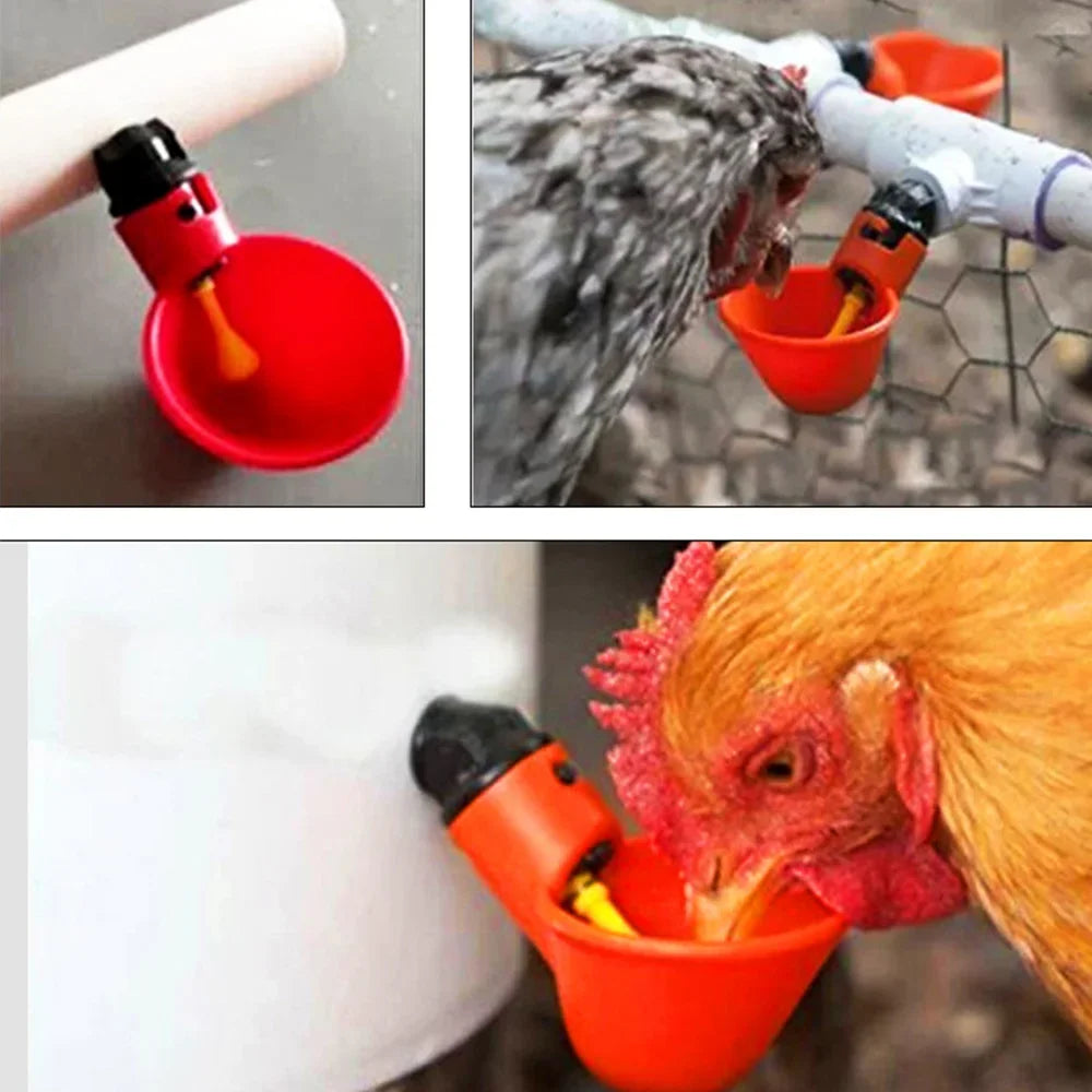 Automatic Chicken Water dispenser Plastic poultry drinking bowl Straight Pipe Farm chicken Coop Automatic Drinking Water System Qme