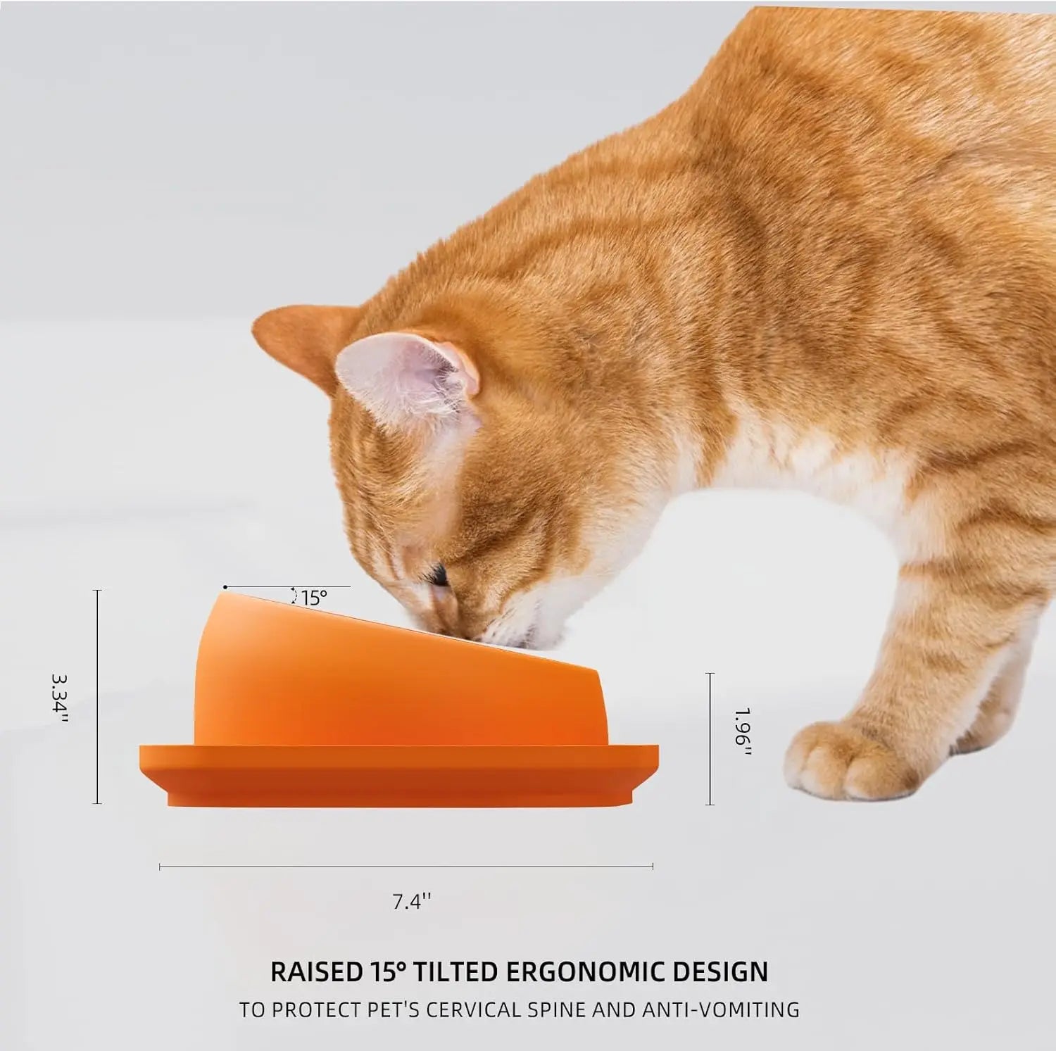 15° Tilted Stainless Steel Cat Bowl with Anti-Slip Plastic Base Neck Protection Pet Food Water Feeder Bowl for Cats And Kittens Qme