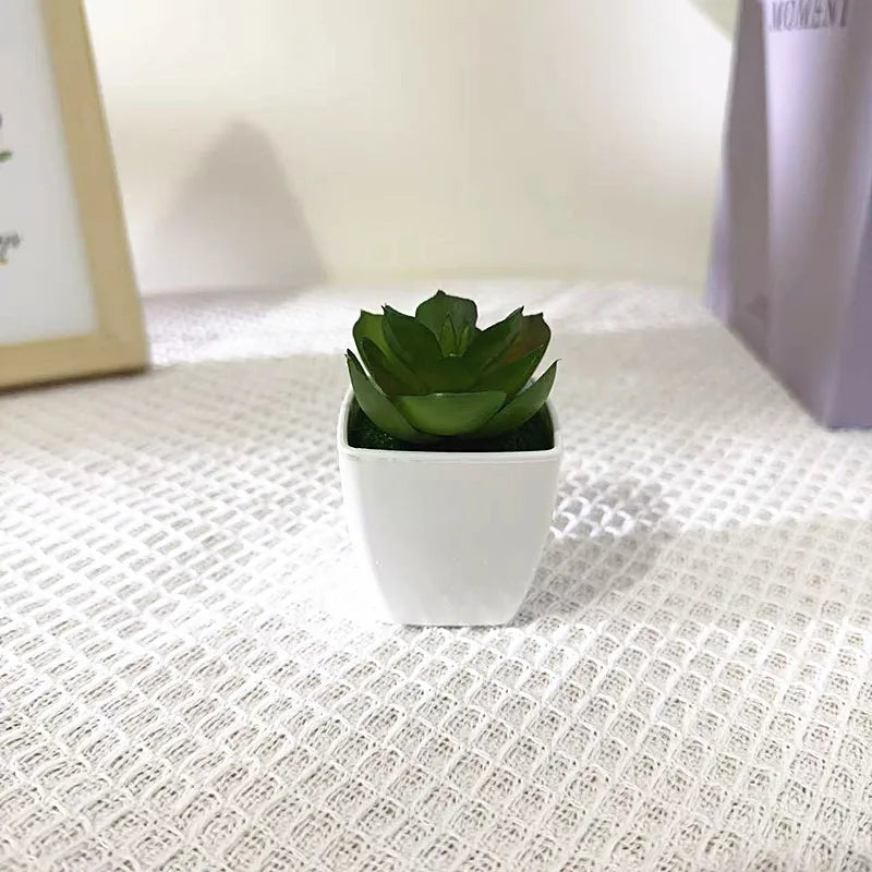 Faux Cactus Arrangements Small Imitation Foliage White Square Planter Qme guanyin lotus