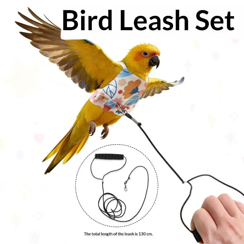 Outdoor Flying Rope Pet Decoration Bird Supplies Parrot Clothes Walk Qme