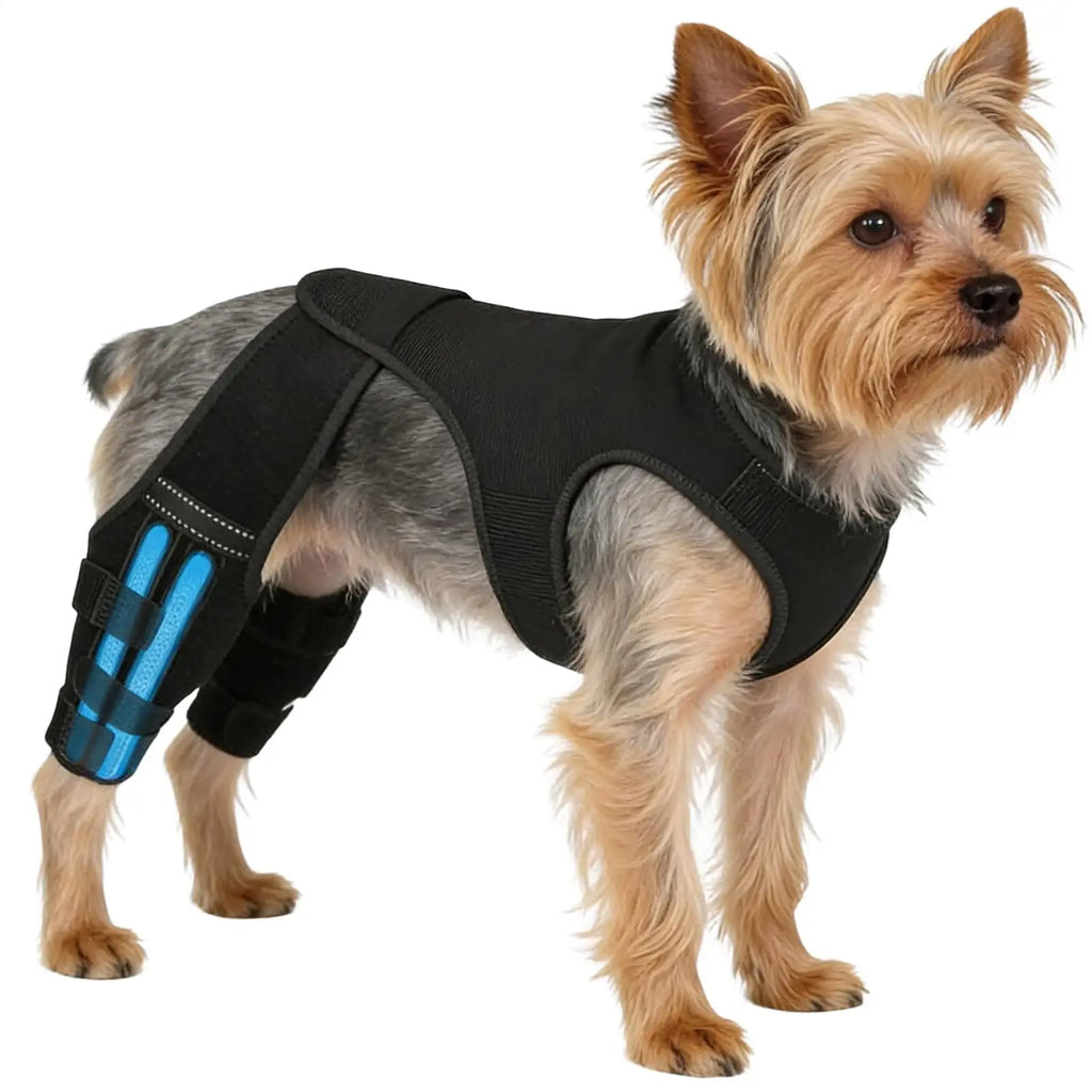 Dog Leg Brace Adjustable Wrap Joint Sleeve with 4 Metal Stabilizers Rear Leg Support for Hiking Exercise Outdoor Activities Park Qme