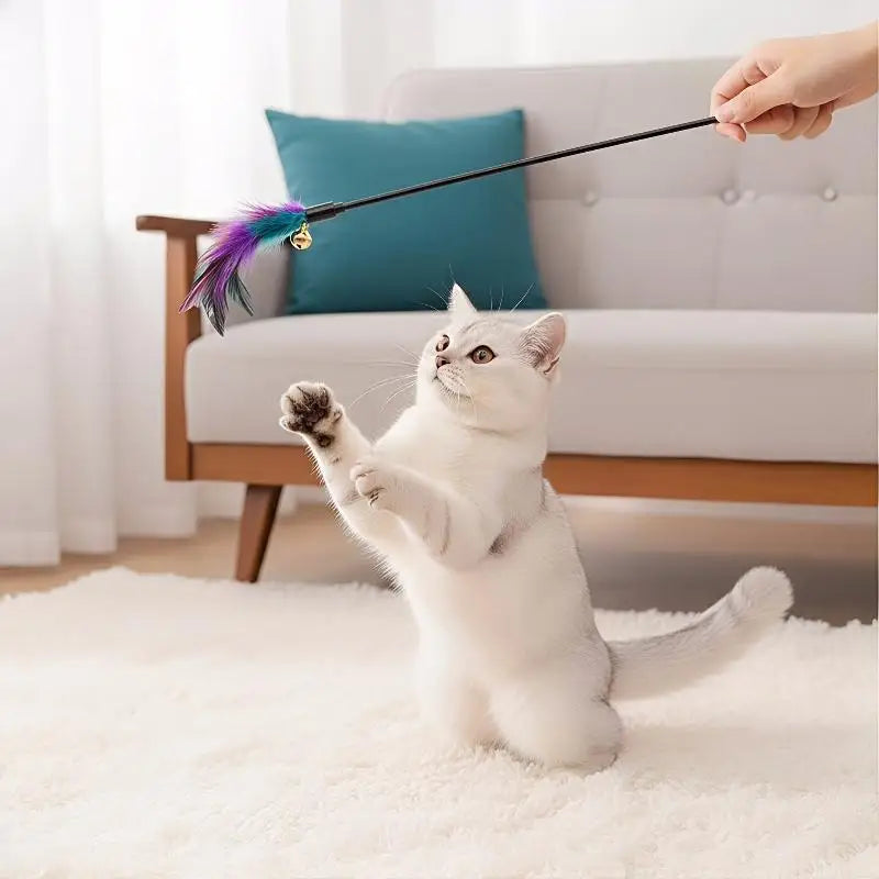 Cat Interactive Wand Colorful Chicken Stick Bell Portable Creative Qme