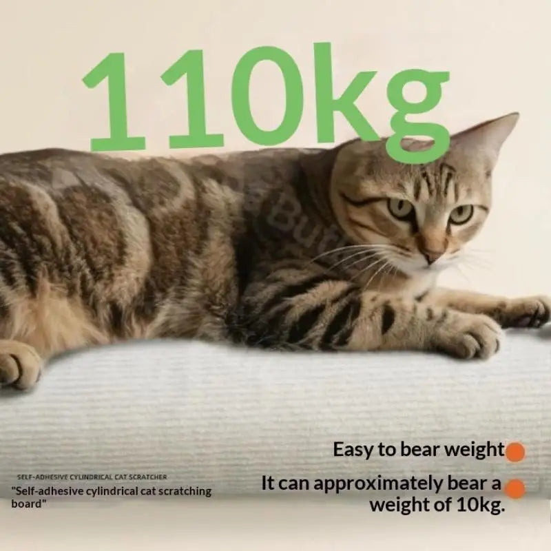 Self-adhesive Cats Scratching Post Wall Toy Climbing Ladder Qme