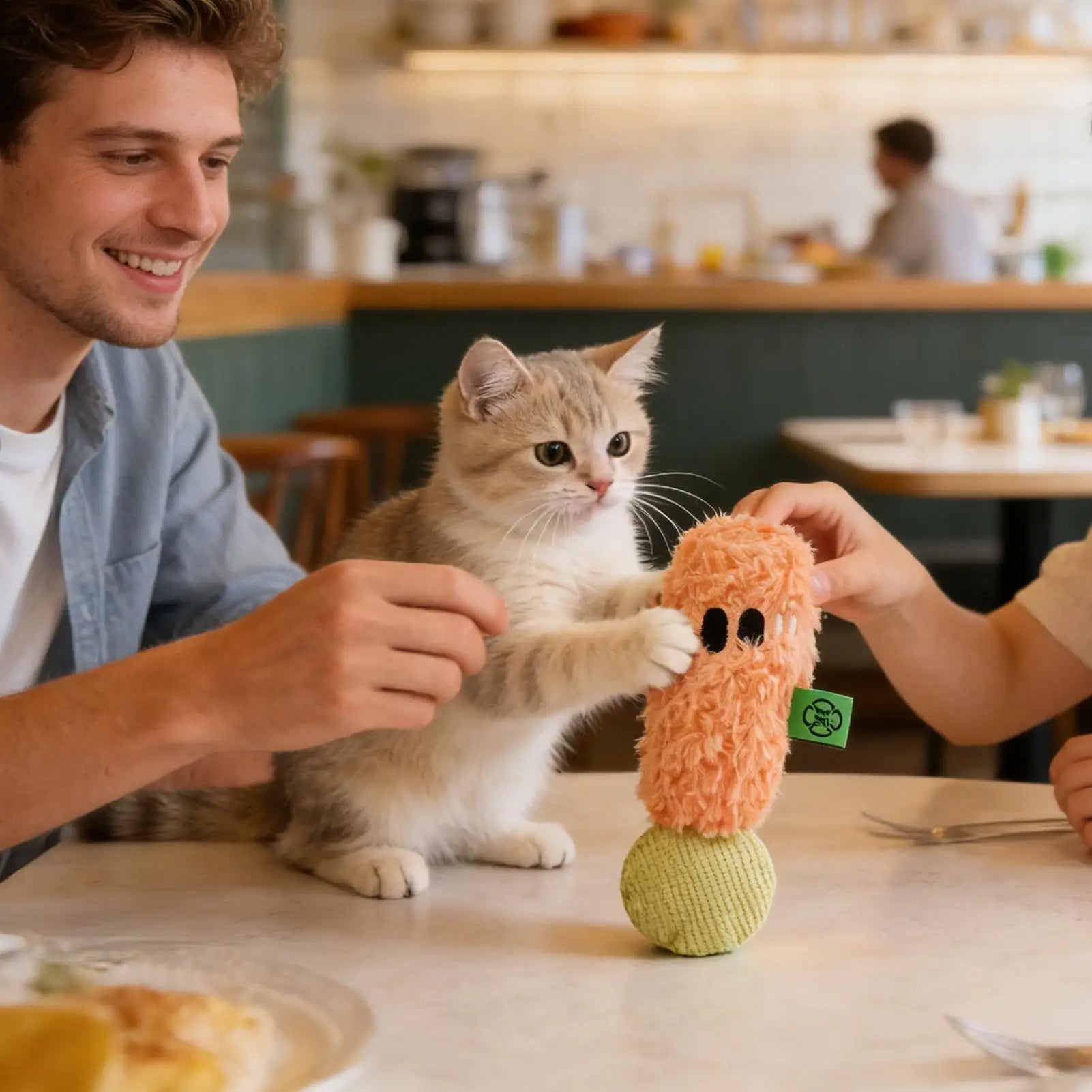 Squeaky Cat Toys Catnip Pet Interactive Puzzles Plush Squeak Toy Qme CN