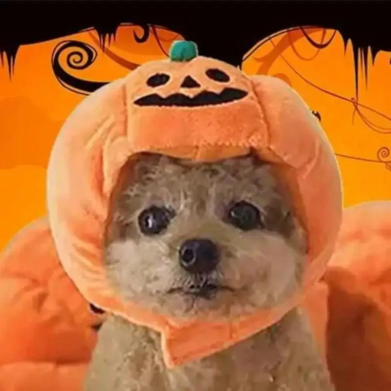 Halloween Pet Pumpkin Hat Cute Ghost Festival Headgear For Small Medium Large Dogs Puppy Teddy French Bulldog Costume Accessory Qme