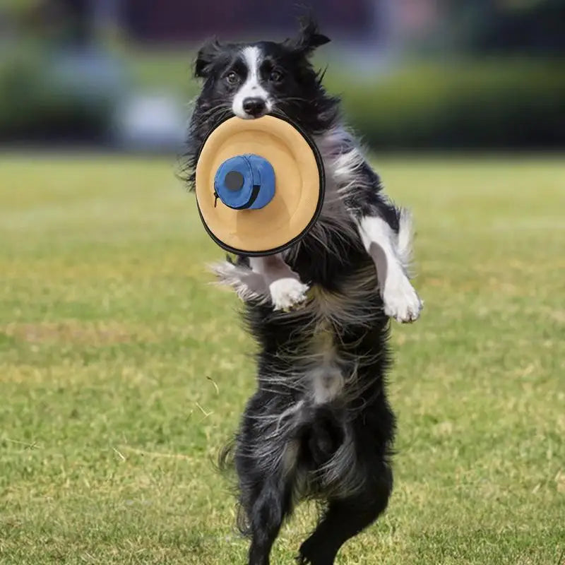 Puppy Flying Disc Canvas Flying Disc Interactive Toys Games Training Pet Supplies Outdoor Games With Snack Bag For Outdoor Qme China Mainland