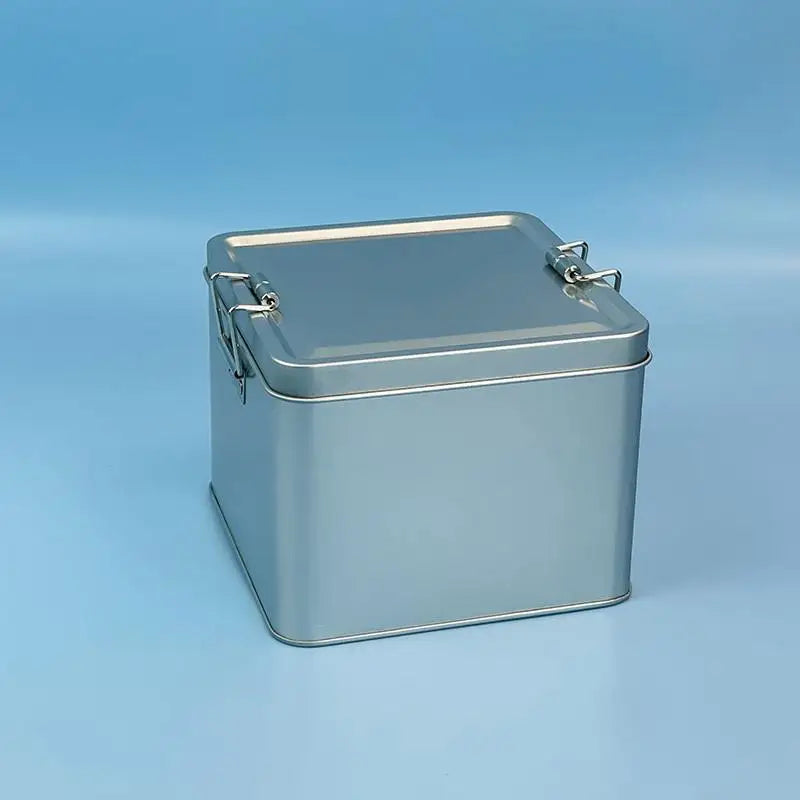 Metal Rectangular Iron Box Old Fashioned Storage Cake Packaging Box Durable With Lid Buckle Organizer Qme