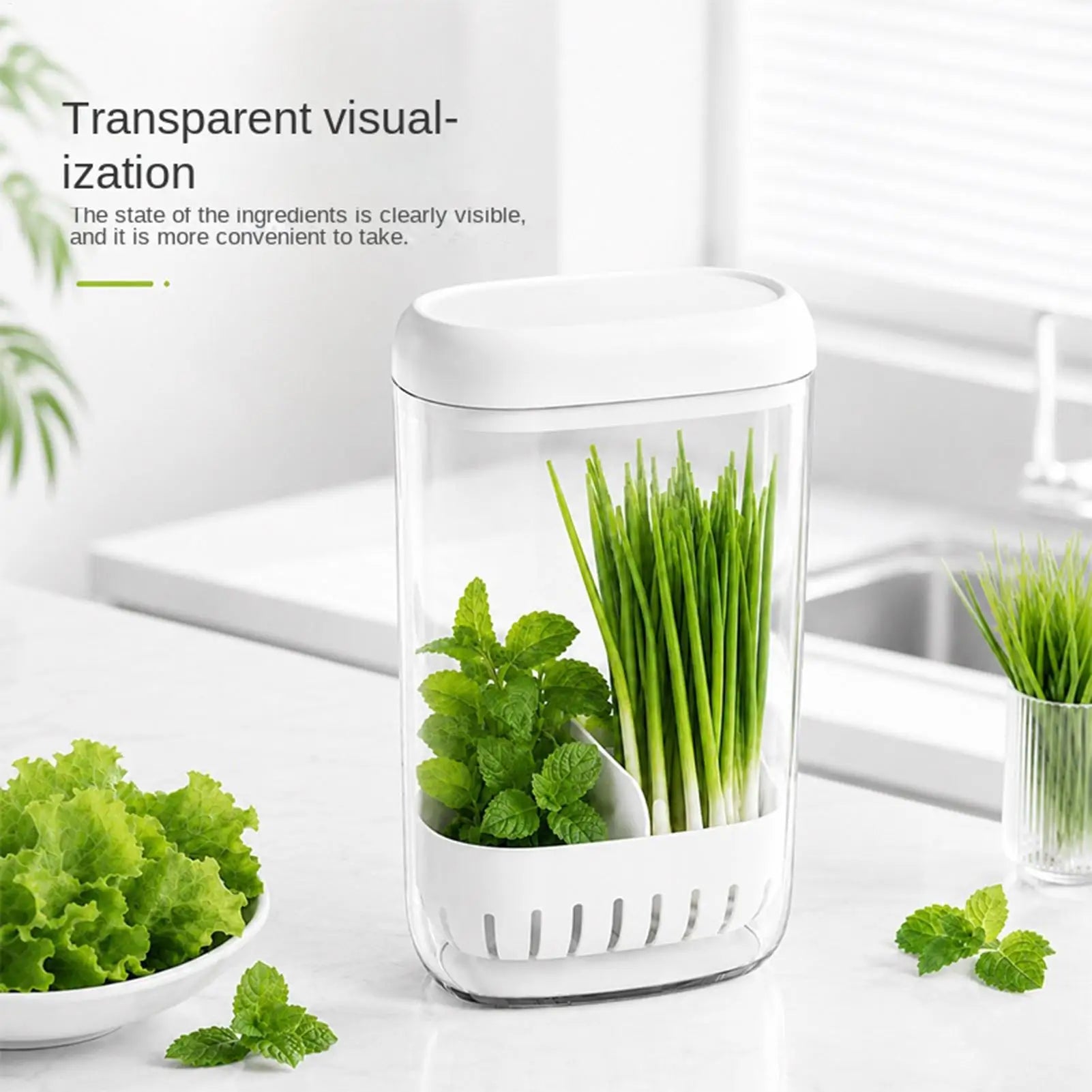 Cilantro Keeper Drainage Upright Space Saving Produce Saver Qme