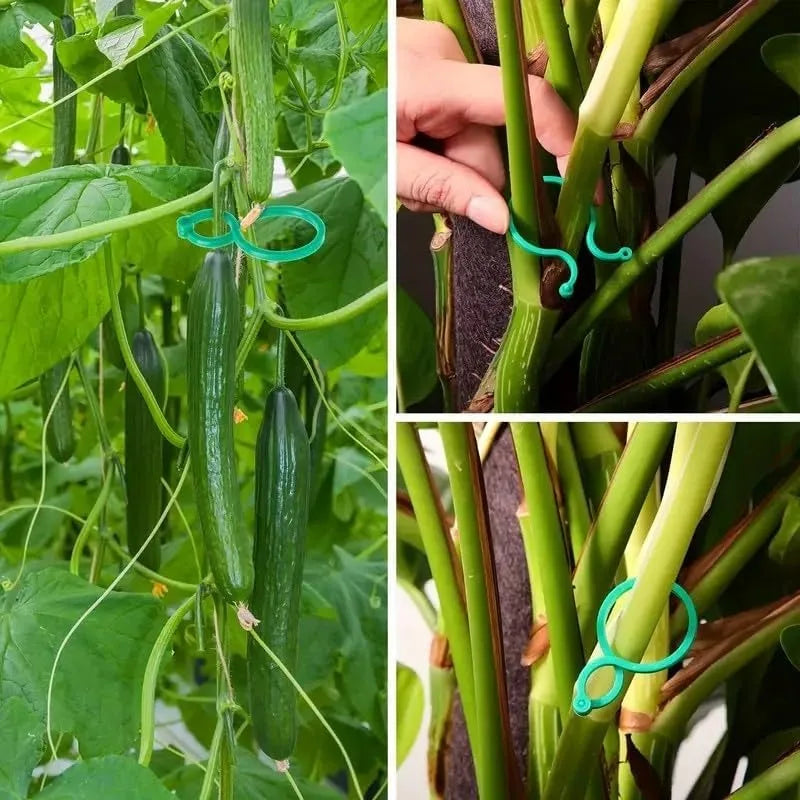 50/100Pcs Reusable Adjustable Plant Support Clips, Sturdy Plastic Garden Clips for Tomato Vine Flower and Vegetable Stakes Qme