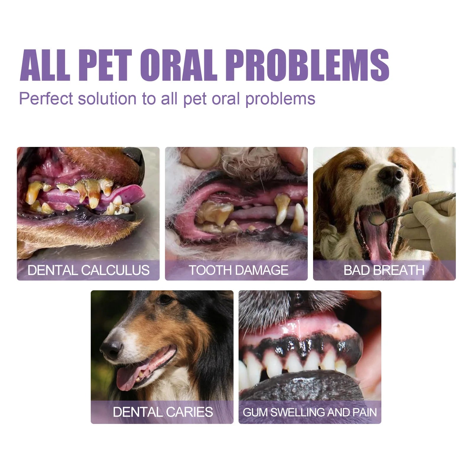 Pet Oral Repair Gel for Dogs & Cats - Puppy Tartar Removal Teeth Whitening Stain Remover Odor Eliminator Gum Care Pet Teeth Qme