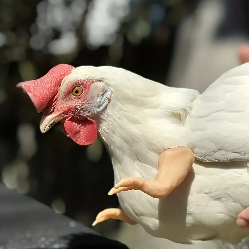 5-1PCS Chicken Giant Arm Decoration Pet Toy Dinosaur Forelimbs Fun Decoration Fighting Chicken Muscle Arm Chicken Accessories Qme