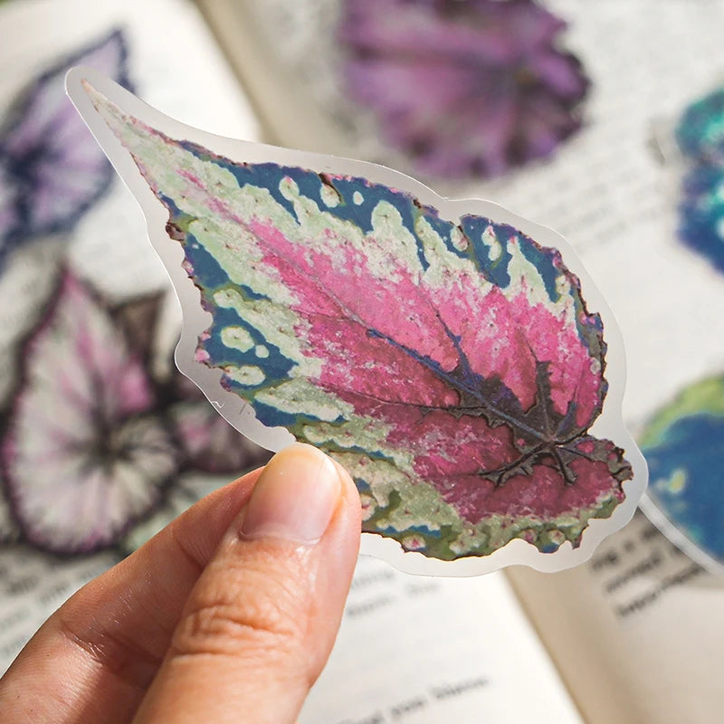 20 pcs Plants Flowers Leaf PET Sticker pack Hand Account Collage Junk Journal Planner Scrapbooking Decor Stationery Stickers Qme