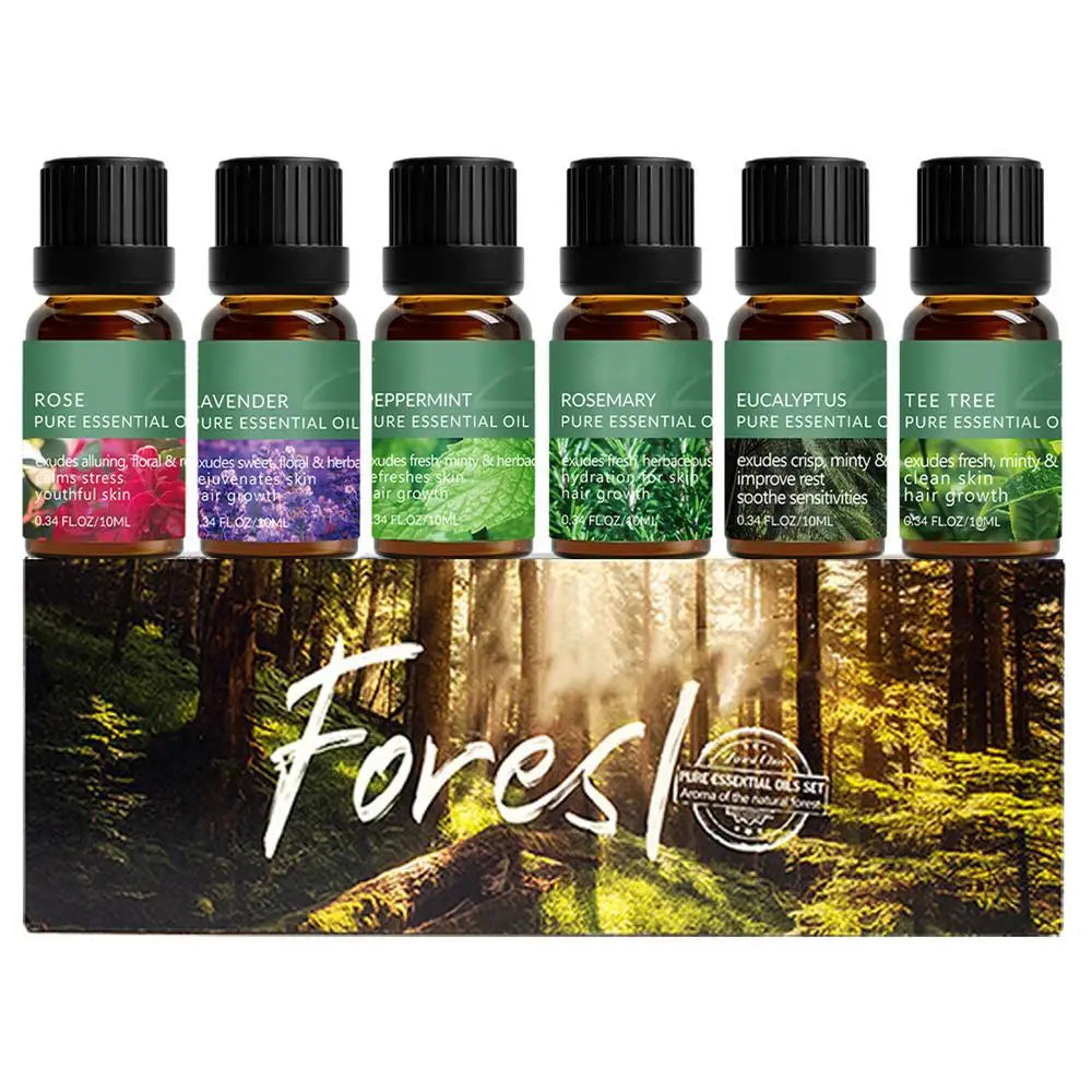 Bakery Essential Oils Premium Fragrance Oil Blueberry Pancake Sugar Qme 19 10mlx6pcs China Mainland