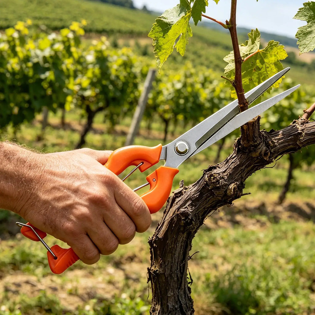 NEW Garden Scissors Rust Resistant Pruning Clippers Tree Trimmer Branch Cutter for Fruit Flower Picking Thinning Root Lawn Hedge Qme