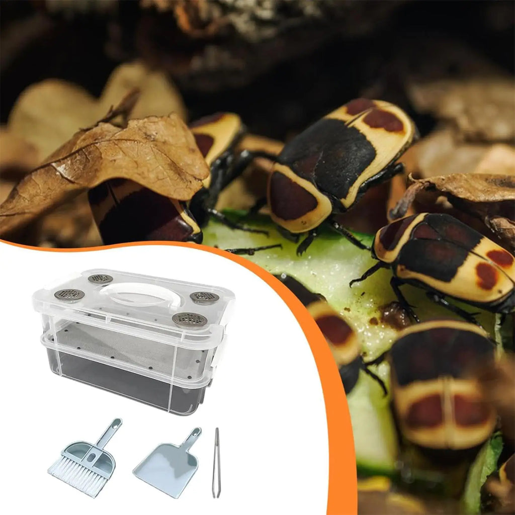 Mealworm Breeding Transparent Fine Mesh Corn Worm Feeding Bins Yellow Qme