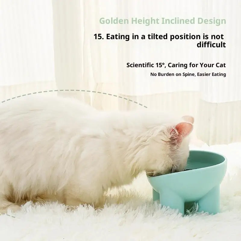 Elevated Cat Bowl Stand Durable Plastic Pet Food Water Dish Sleek Qme