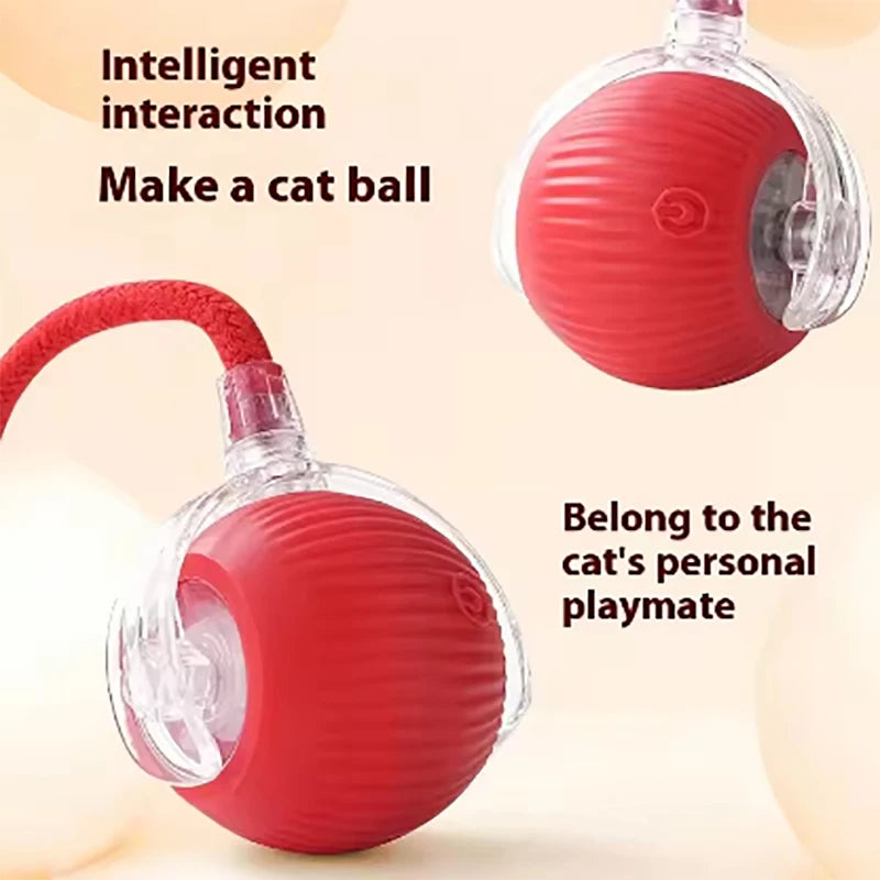 New interactive cat ball toy with automatic rolling ball simulation tail rechargeable intelligent pet electric toy Qme