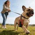 Poop Bag Holder Carabiner Zipper Pouch Pet Waste Dispenser Puppy Qme China Mainland