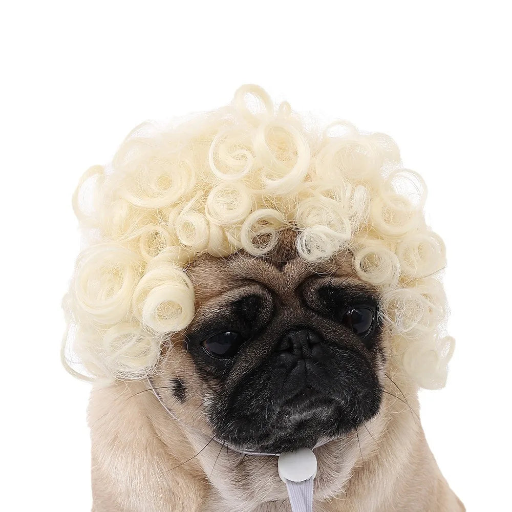 Halloween Pet Wig Fashion Curly Straight Hair Cute Role Play Qme E