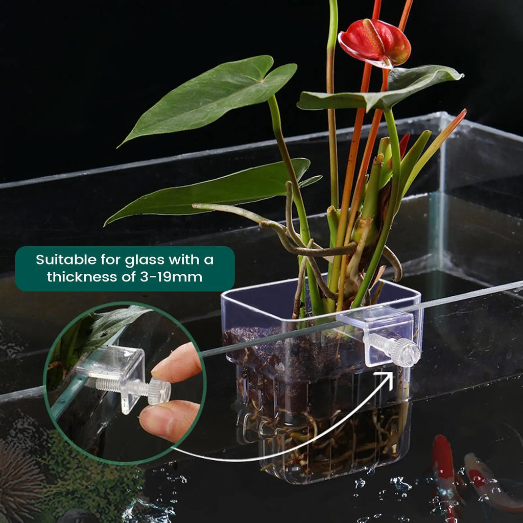 1pcs Plant Holder For Fish Tank Transparent Hangable Pot Cup Aquatic Plant Holder For Fish Tank Hydroponic System Indoor Home Qme