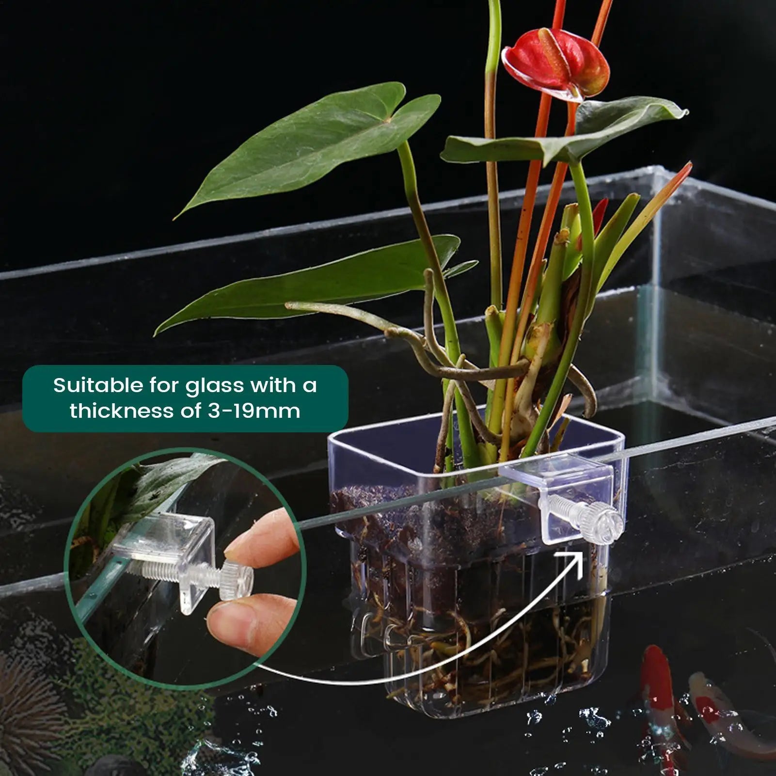 1pcs Plant Holder For Fish Tank Transparent Hangable Pot Cup Aquatic Plant Holder For Fish Tank Hydroponic System Indoor Home Qme
