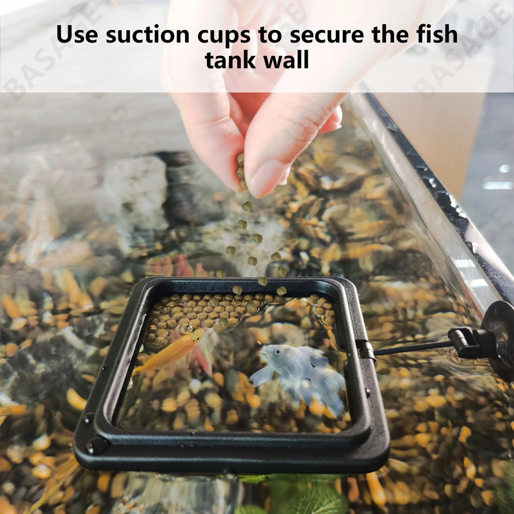 Aquarium Feeding Ring Fish Tank Station Floating Food Tray Feeder Square Circle Accessory Fish Food Feeder Suction Cup Black Qme
