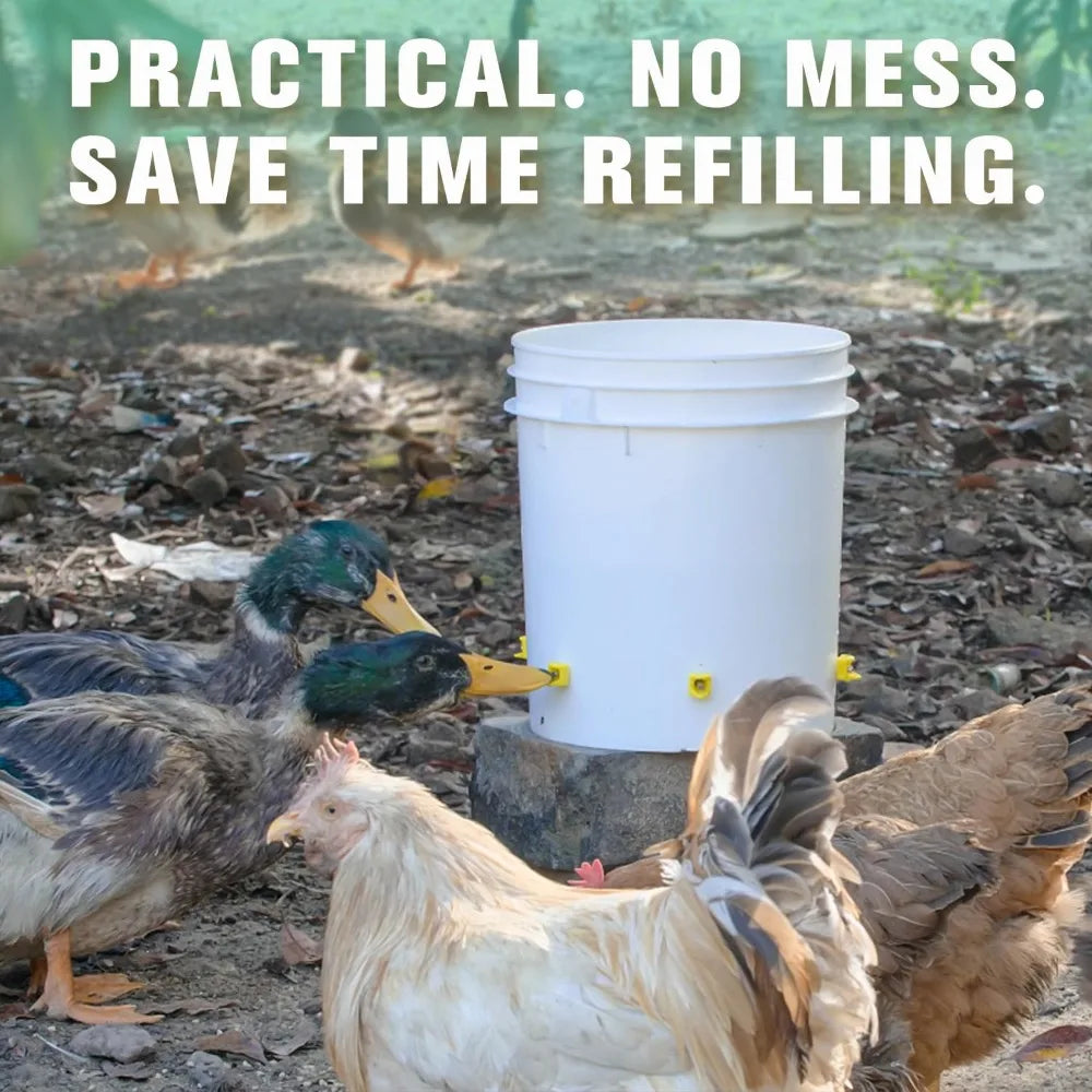 10-50pcs Chicken Automatic Water Dispenser Is Easy To Install and Not Prone To Water Leakage Poultry Automatic Water Dispenser Qme