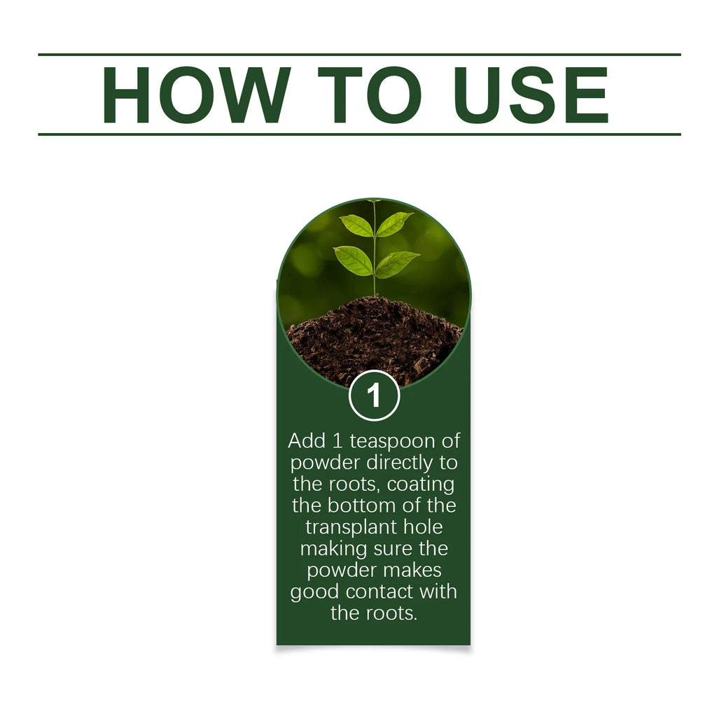 Natural Plants Root Enhancer Promote Root Development Enhance Absorption Capacity Improve Disease Resistance Plant Rooting Agent Qme