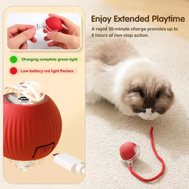 New interactive cat ball toy with automatic rolling ball simulation tail rechargeable intelligent pet electric toy Qme