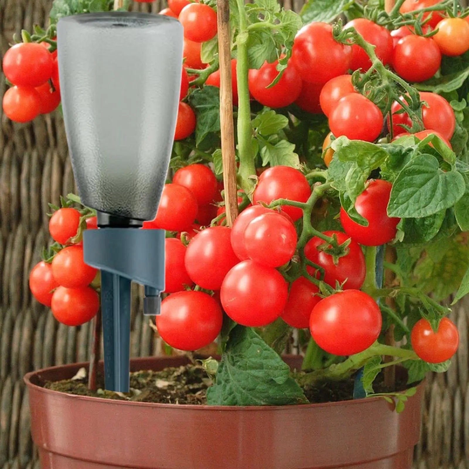 6pcs Plant Watering Spikes Automatic Irrigation Stakes With Control Valve Garden Watering Spikes For Outdoor Garden Yard Qme