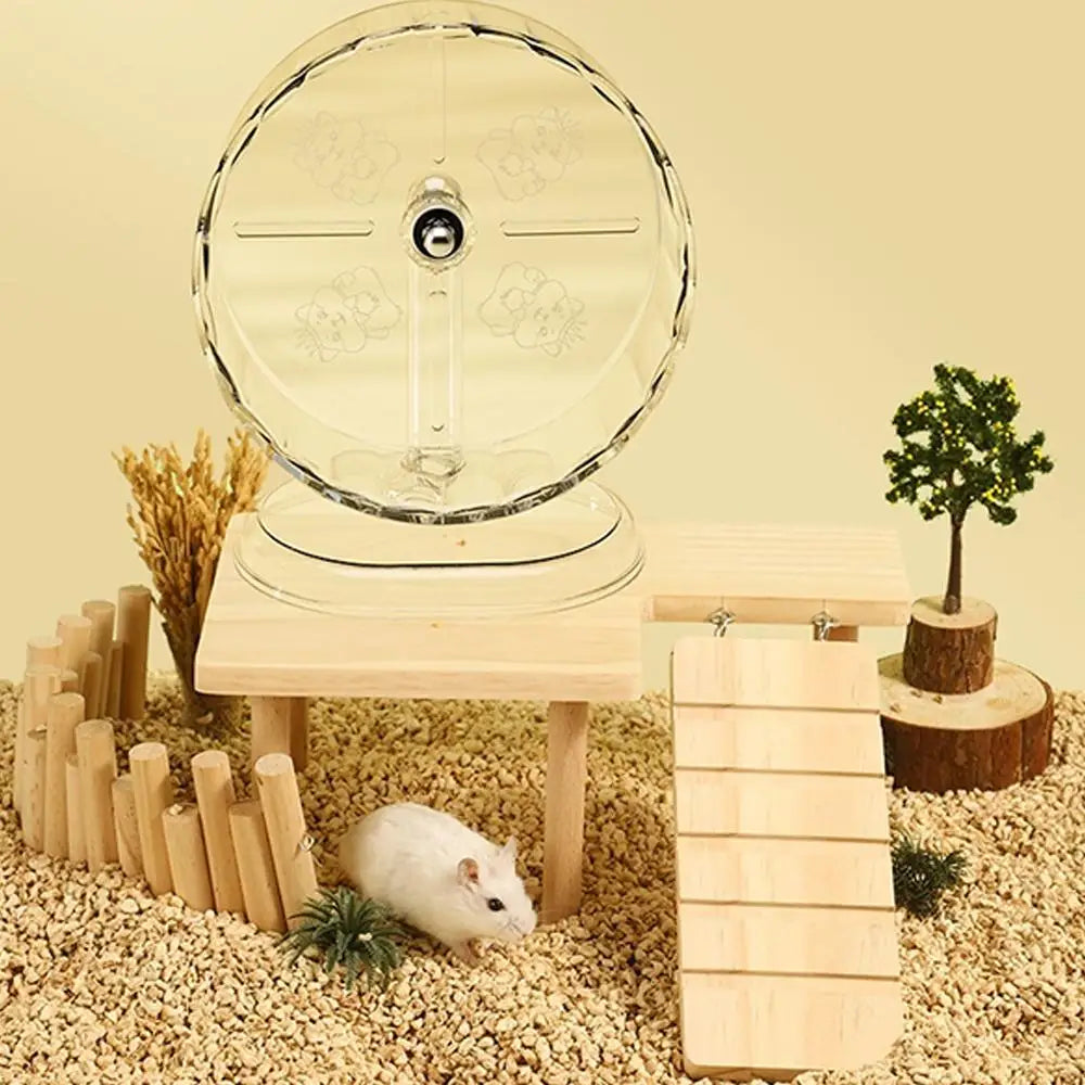 Hamster Running Sport Transparent Running Wheel Support Toy Small Pet Roller Bearing Silent Running Wheel Pets Accessories Qme