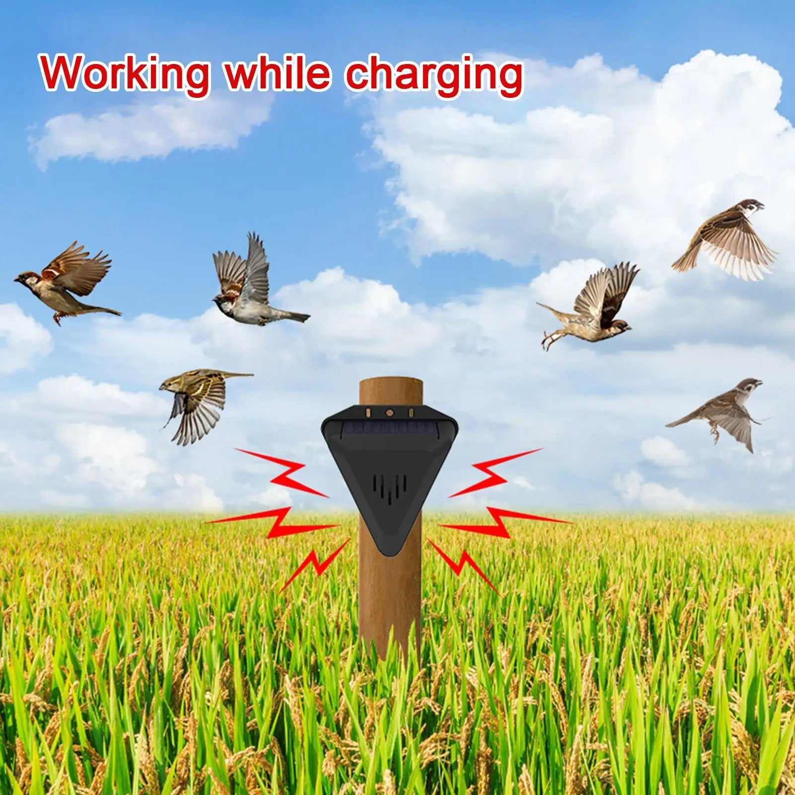 Animal Repeller Hang Animal Repeller Outdoor Waterproof Bird Repellents Outdoor Animal Deterrents with 13 Modes Sound Playback Qme
