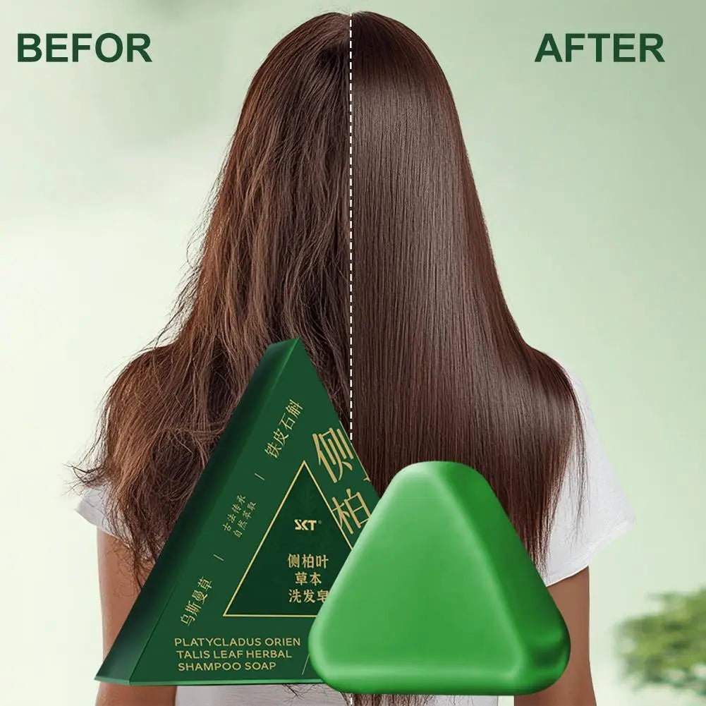 Shampoo Bar Platycladus Orientalis Natural Herbal Soap Hair Loss Qme
