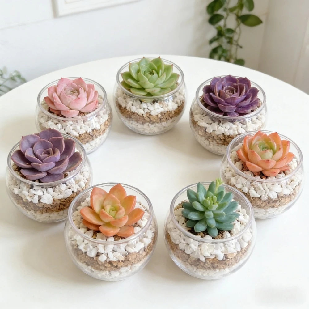 4pcs Transparent Spherical Mini Vases, Home Decor Vases, Creative Mini Fish Tanks, Durable Indoor，Office Desk Decoration Qme