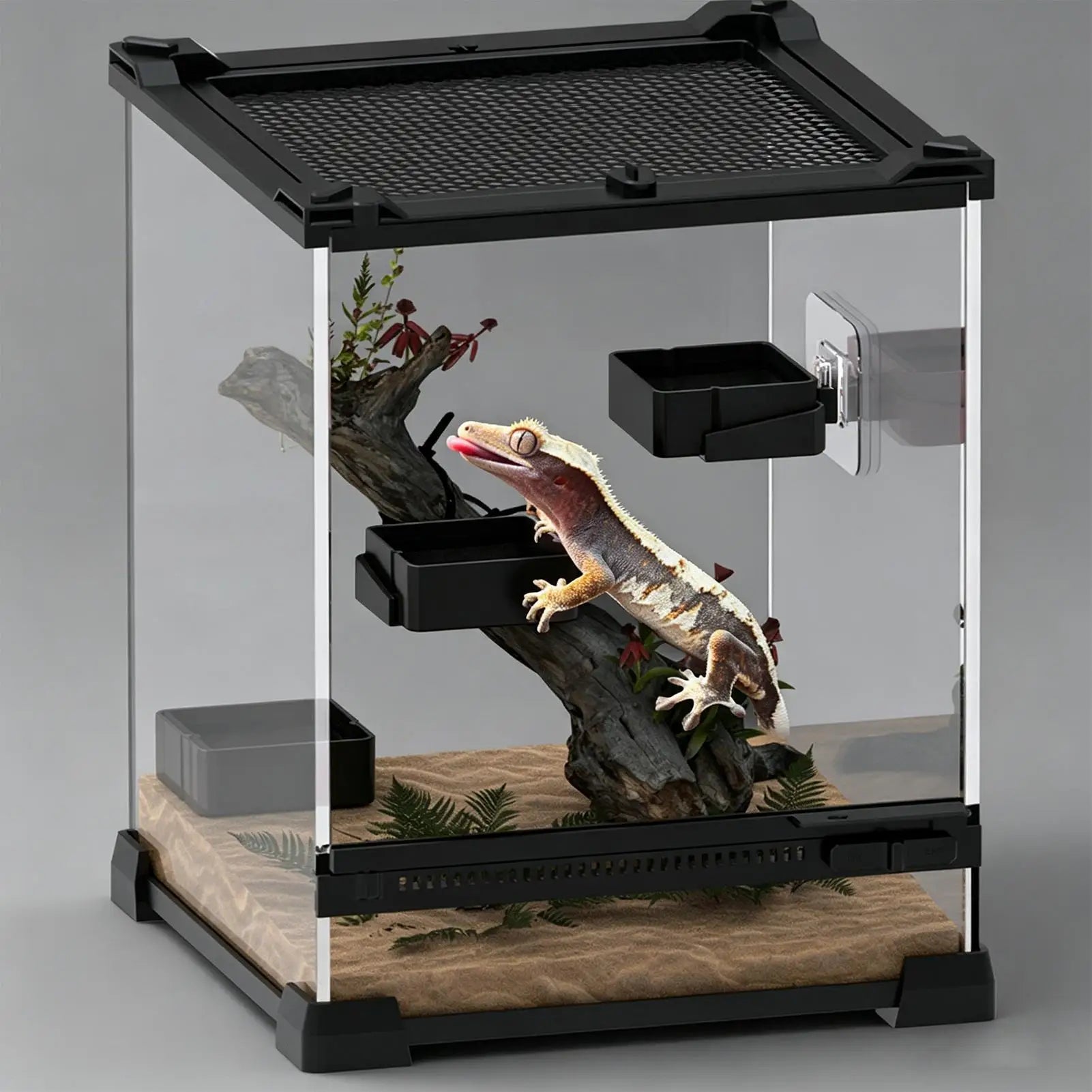 Gecko Food Dish Grade Wall Mount Universal Water Bowl Feeder Iguana Qme