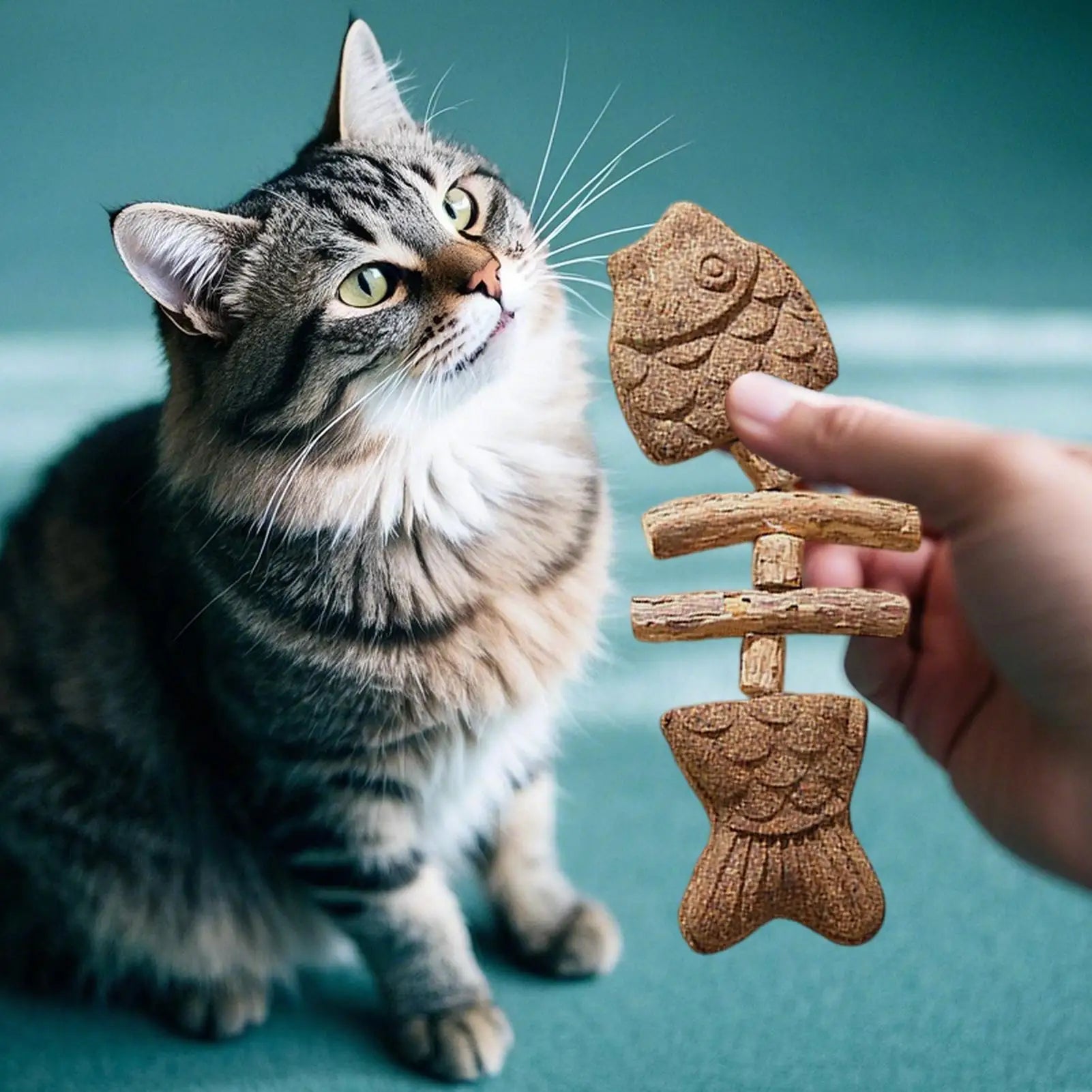 Silvervine Cat Toy Catnip Natural Wooden Fishbone-Shaped Cat Silvervine Sticks for Licking Pawing Playing Reducing Boredom Qme